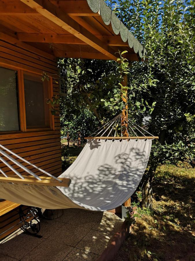 Relax Eaza - Casa Cu Hamac Villa Constanţa Eksteriør bilde