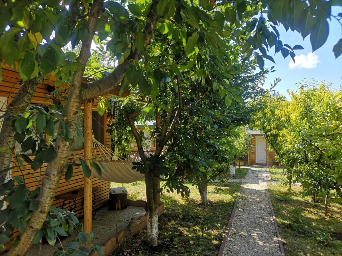 Relax Eaza - Casa Cu Hamac Villa Constanţa Eksteriør bilde