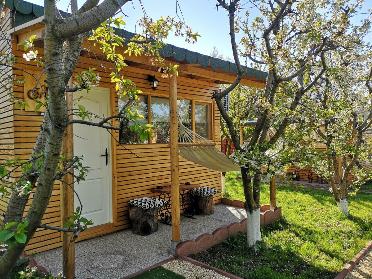 Relax Eaza - Casa Cu Hamac Villa Constanţa Eksteriør bilde